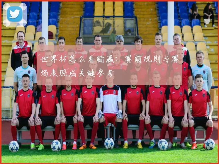 世界杯怎么看输赢：赛前规则与赛场表现成关键参考